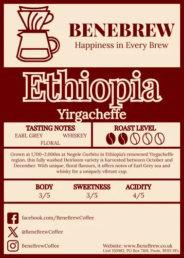 Taster Bundle - Filter/Pourover